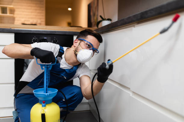 Best Mosquito Control Services  in Charles City, IA