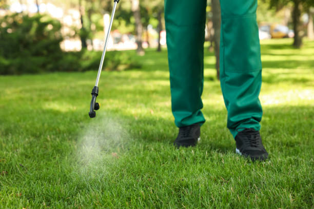 Best Ant Control Services  in Charles City, IA