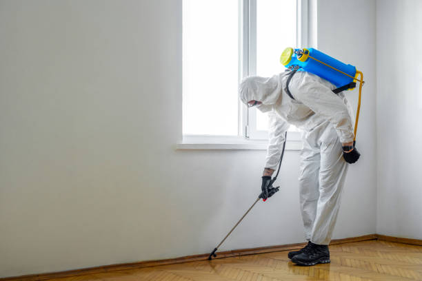Best Pest Prevention Services  in Charles City, IA