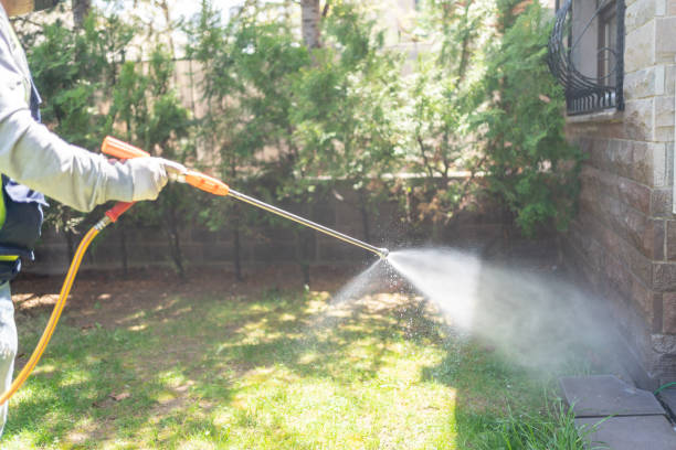 Best Cockroach Control Services  in Charles City, IA