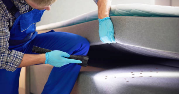 Best Local Pest Control Services  in Charles City, IA