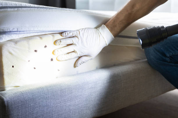 Trusted Charles City, IA Pest Control Experts