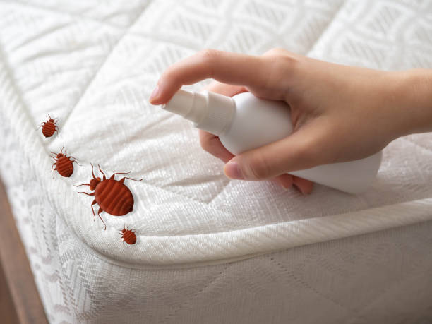 Best Best Pest Control Companies  in Charles City, IA